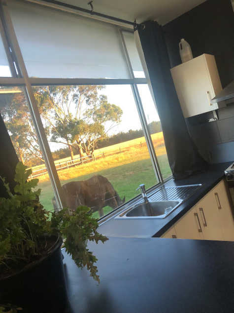 Accommodation Interior