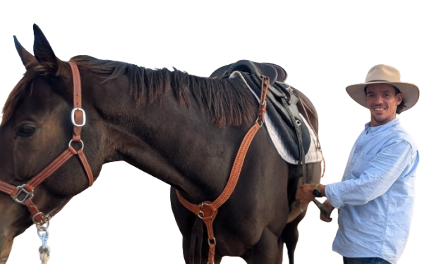 Luke and Django
